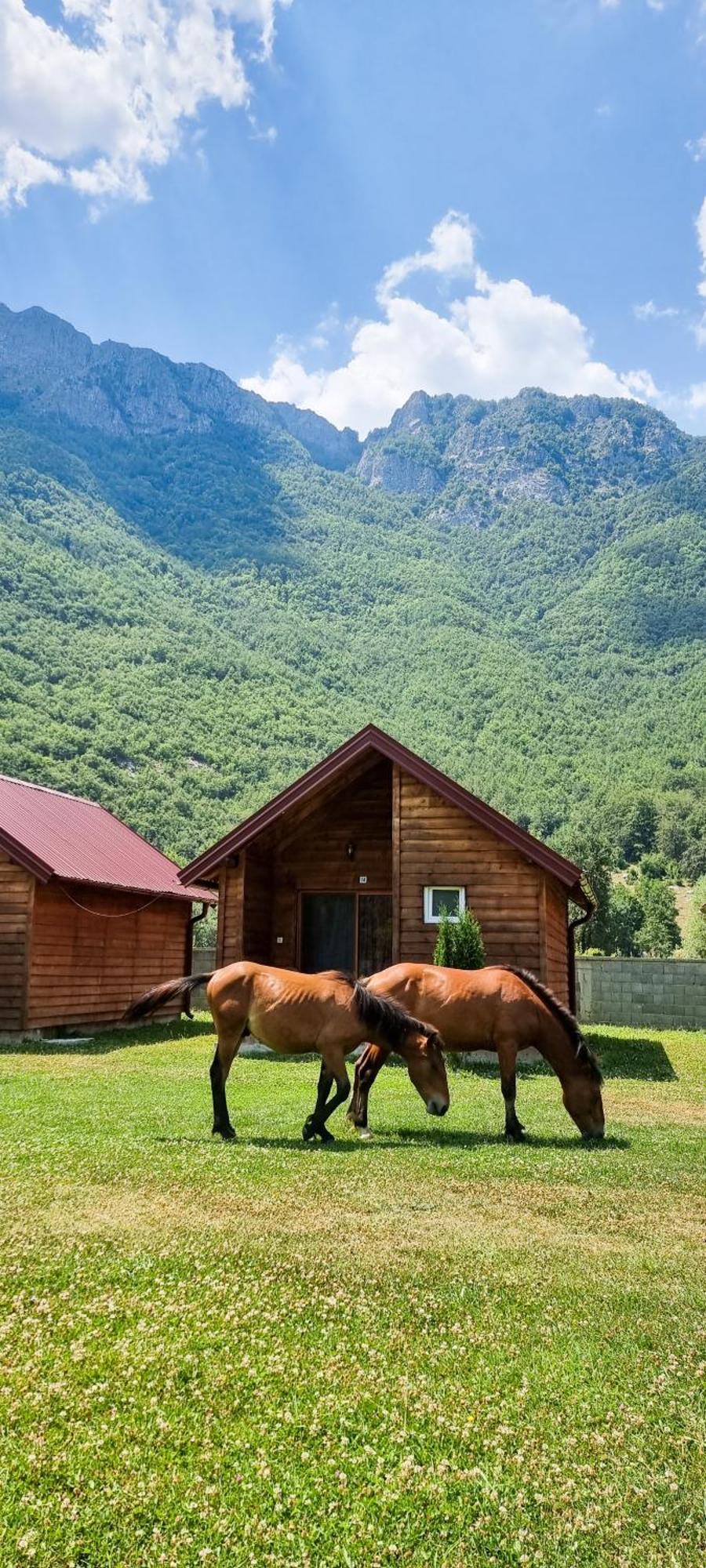 Ethno Katun Rosi Agrotourism Hotel Gusinje Exterior photo